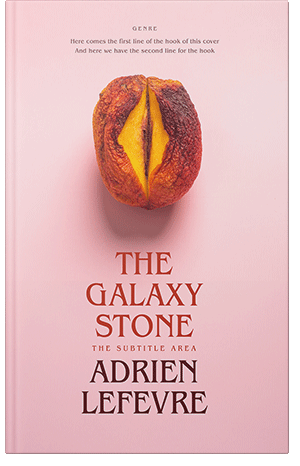 Premade Book Cover Cinderella