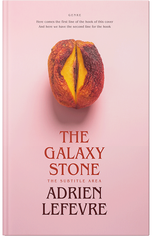 Front view of Premade Erotica Book Cover - Cinderella