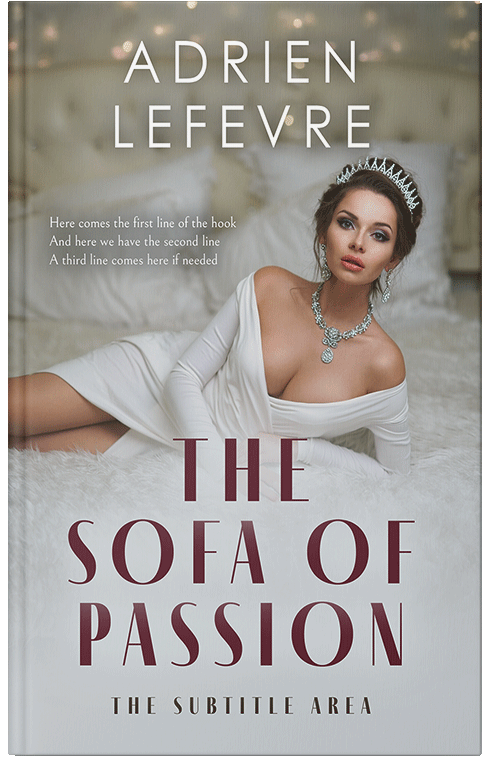 Front view of Premade Erotica Book Cover - Gray Nickel