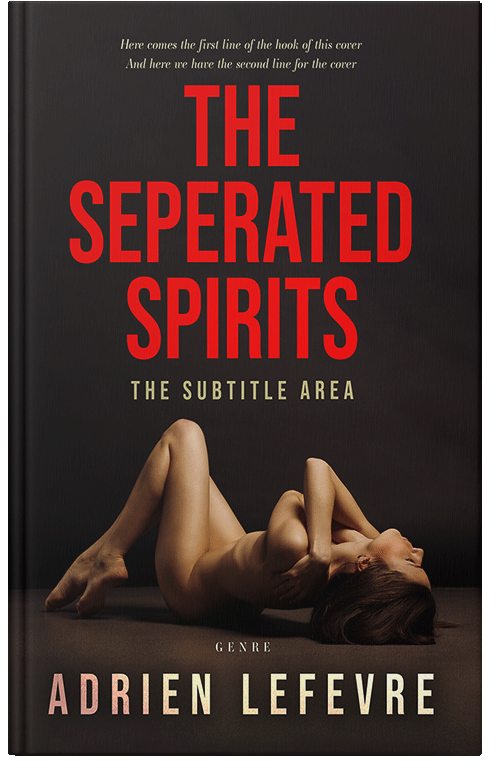 Front view of Premade Erotica Book Cover - Punch