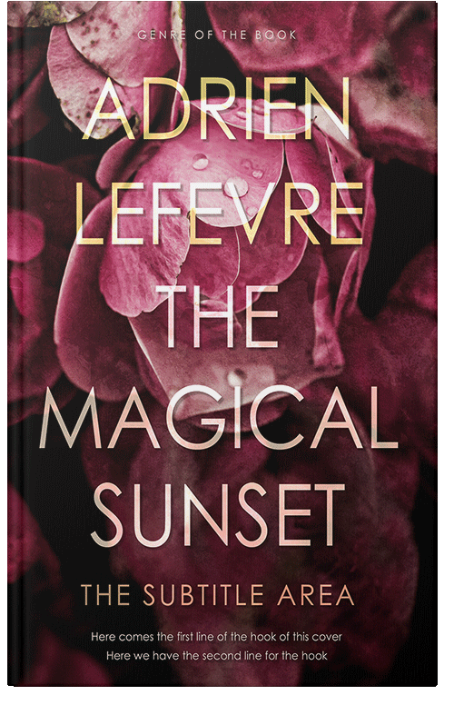 Front view of Premade Children's Book Cover - Can Can