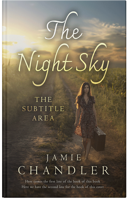 Front view of Premade Travel Book Cover - Judge Gray