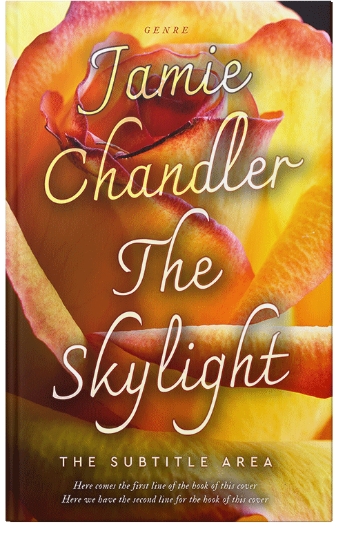 Front view of Premade Abstract Book Cover - Korma