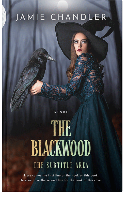 Front view of Premade Fantasy Book Cover - Bunker