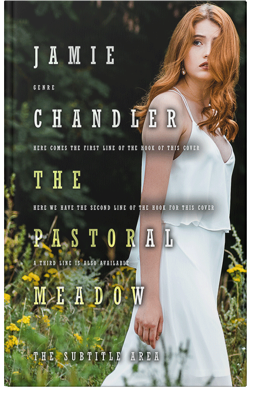 Front view of Premade Romance Book Cover - Moon Mist