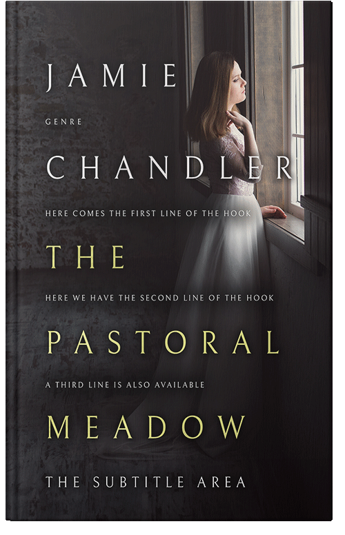 Front view of Premade Literary Fiction Book Cover - Cod Gray