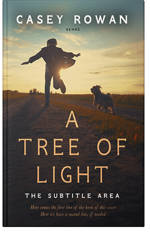 Pre Made Book Cover Calico