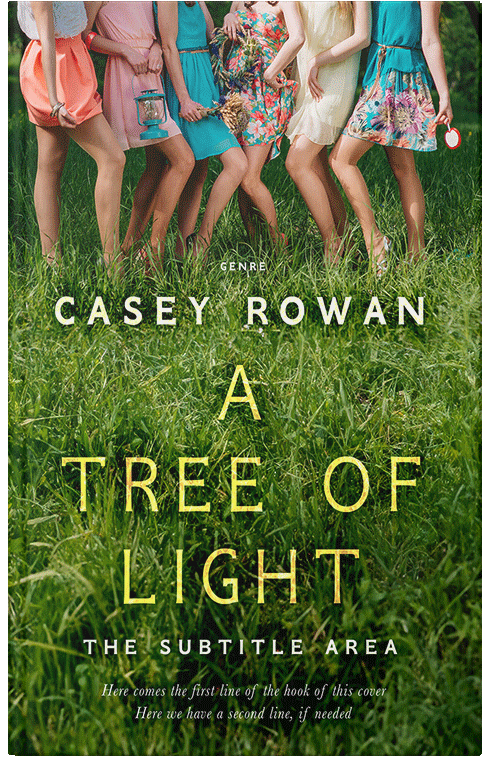 Front view of Premade Teen & Young Adult Book Cover - Dell