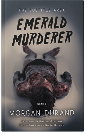 Pre Made Book Cover Ship Gray