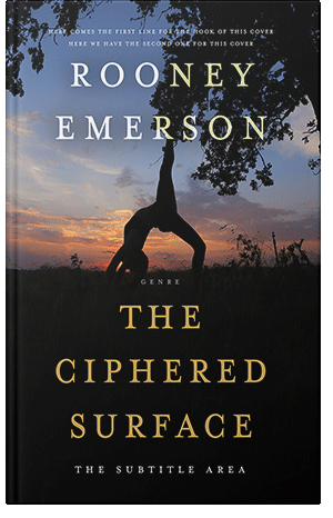 Premade Book Cover Cod Gray