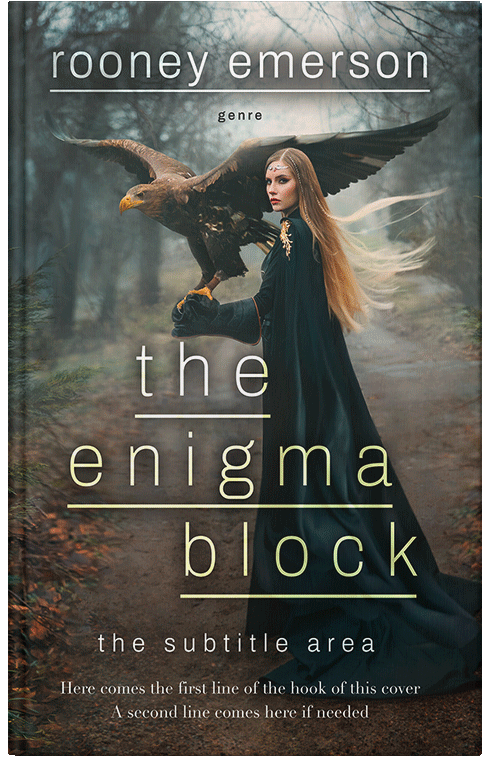 Front view of Premade Fantasy Book Cover - Heavy Metal