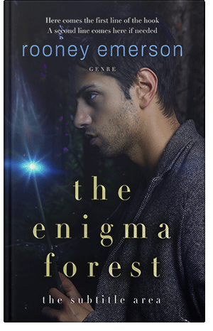 Pre Made Book Cover Cinder