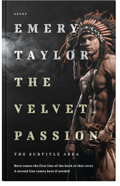 Front view of Premade Historical Book Cover - Cod Gray