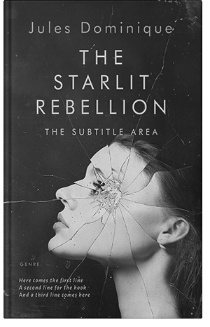 Premade Book Cover Silver