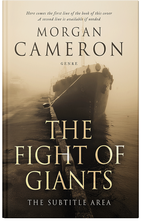 Front view of Premade Historical Book Cover - Raffia