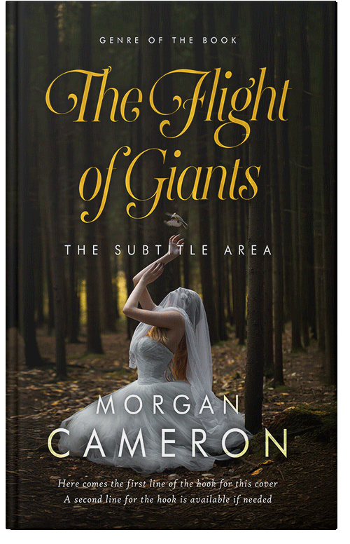 Front view of Premade Paranormal & Urban Book Cover - Eternity