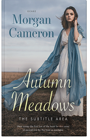 Premade Book Cover Silver Sand