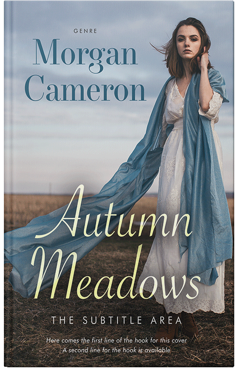 Front view of Premade Literary Fiction Book Cover - Silver Sand