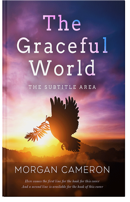 Front view of Premade Religion & Spirituality Book Cover - Livid Brown