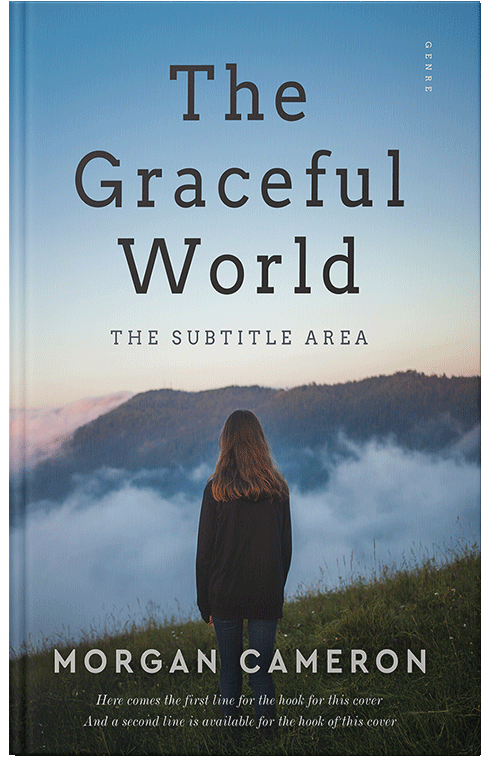 Front view of Premade Teen & Young Adult Book Cover - Ship Cove