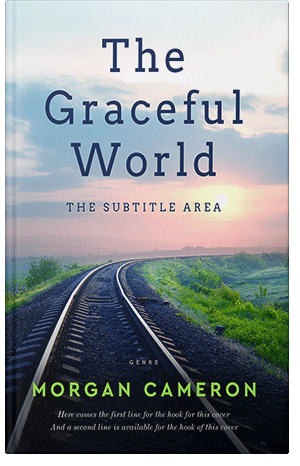 Pre Made Book Cover Big Stone