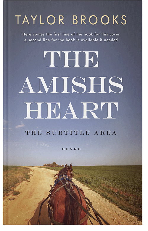 Front view of Premade Western Book Cover - Storm Gray