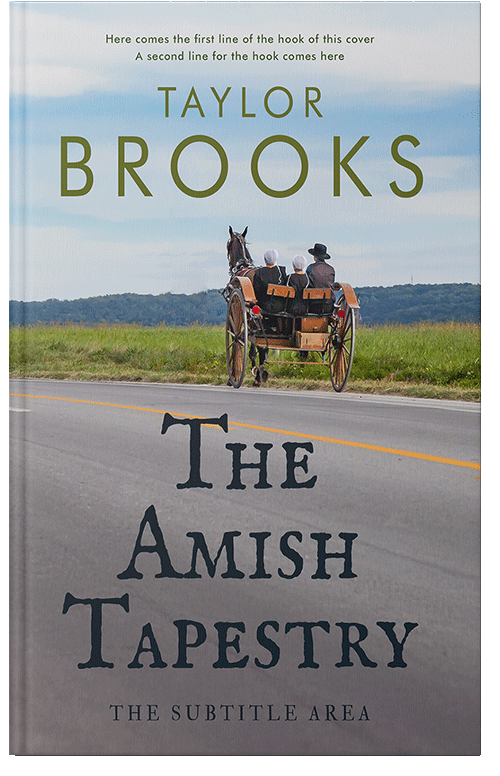 Front view of Premade Literary Fiction Book Cover - Gray Chateau