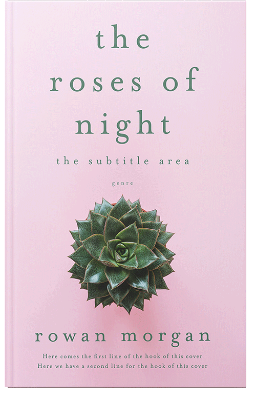 Front view of Premade Poetry Book Cover - Carousel Pink