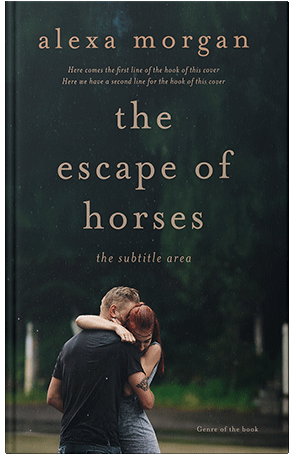 Pre Made Book Cover Aztec