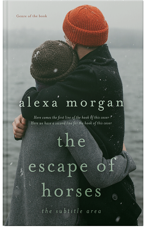 Front view of Premade Romance Book Cover - Tide