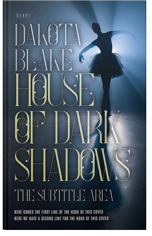 Front view of Premade Teen & Young Adult Book Cover - Big Stone