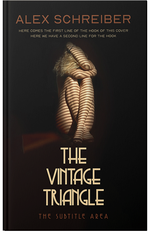 Front view of Premade Erotica Book Cover - Night Rider