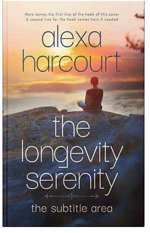 Pre Made Book Cover Ship Gray