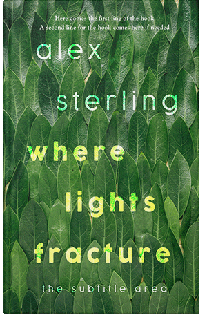 Premade Book Cover Killarney