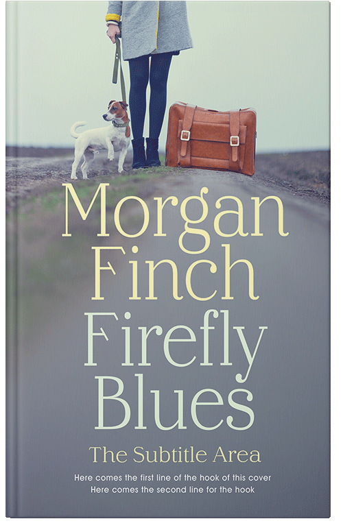 Front view of Premade Travel Book Cover - Oslo Gray #36689 | BookCoverZone