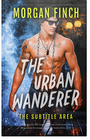 Premade Book Cover Calico
