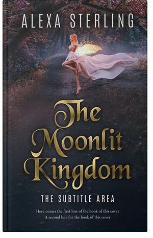 Premade Book Cover Baltic Sea