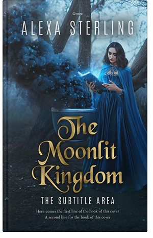 Premade Book Cover Big Stone