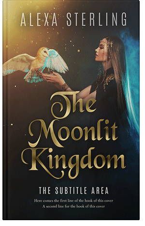Premade Book Cover Cod Gray