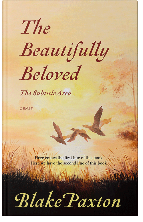 Front view of Premade Literary Fiction Book Cover - Chalky