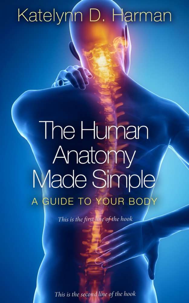 Front view of Chathams Blue #209 - Premade Health & Mind & Body Book Cover