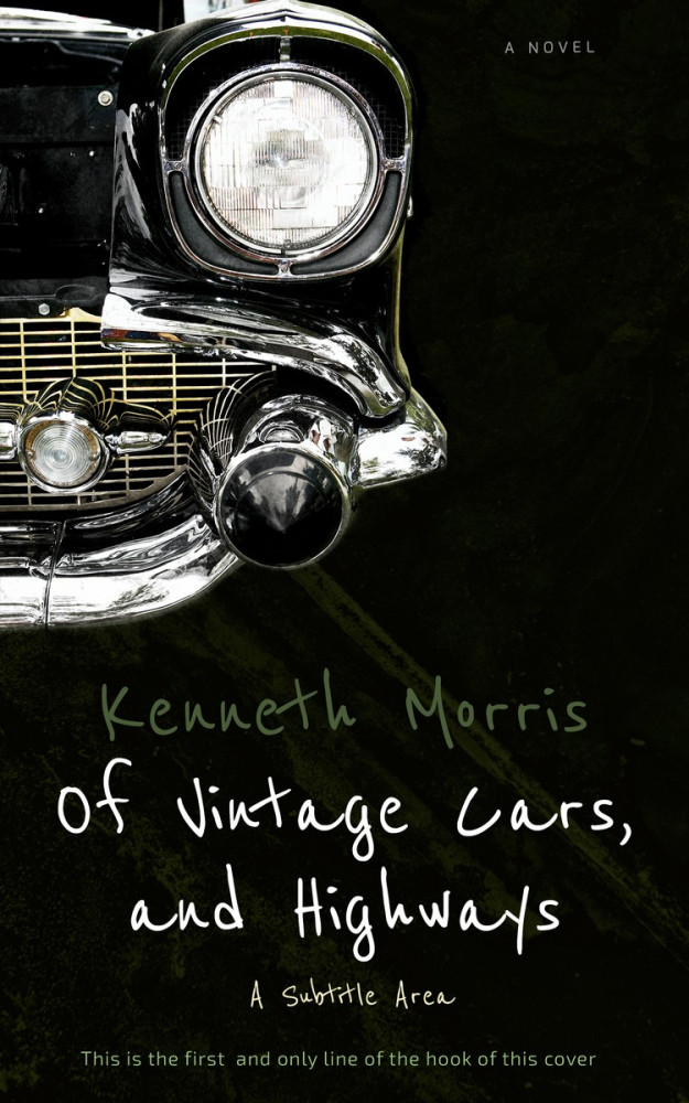 Front view of Marshland #374 - Premade Historical Book Cover