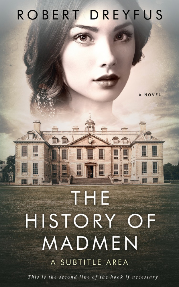 Front view of Bison Hide #488 - Premade Mystery & Thriller & Suspense Book Cover