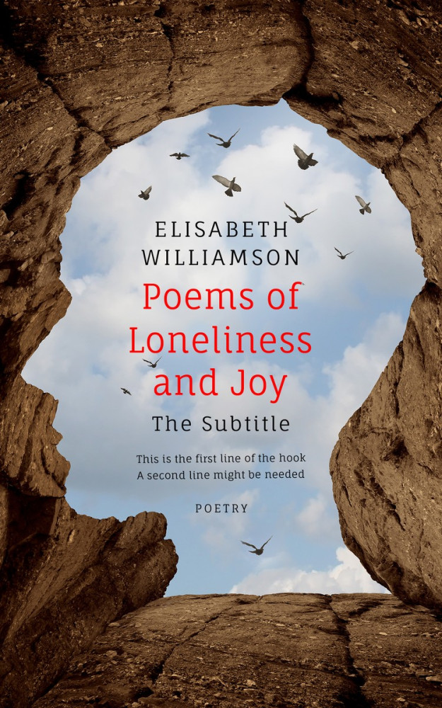 Front view of Loblolly #567 - Premade Self-Improvement & Self-Help Book Cover