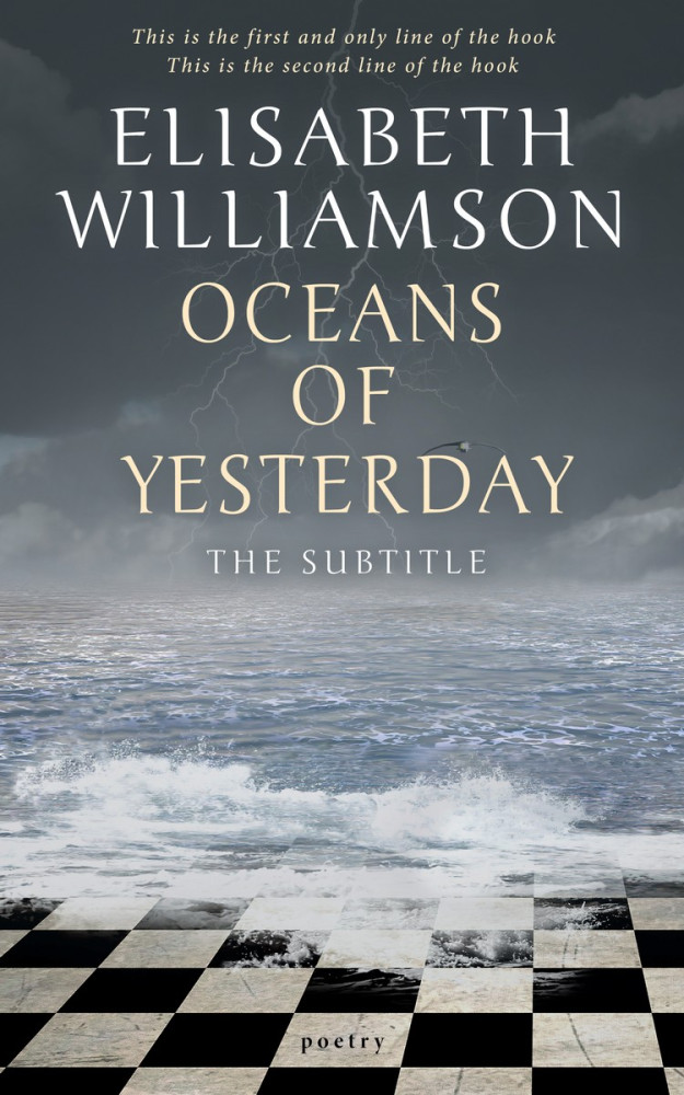 Front view of Mako #591 - Premade Fantasy Book Cover