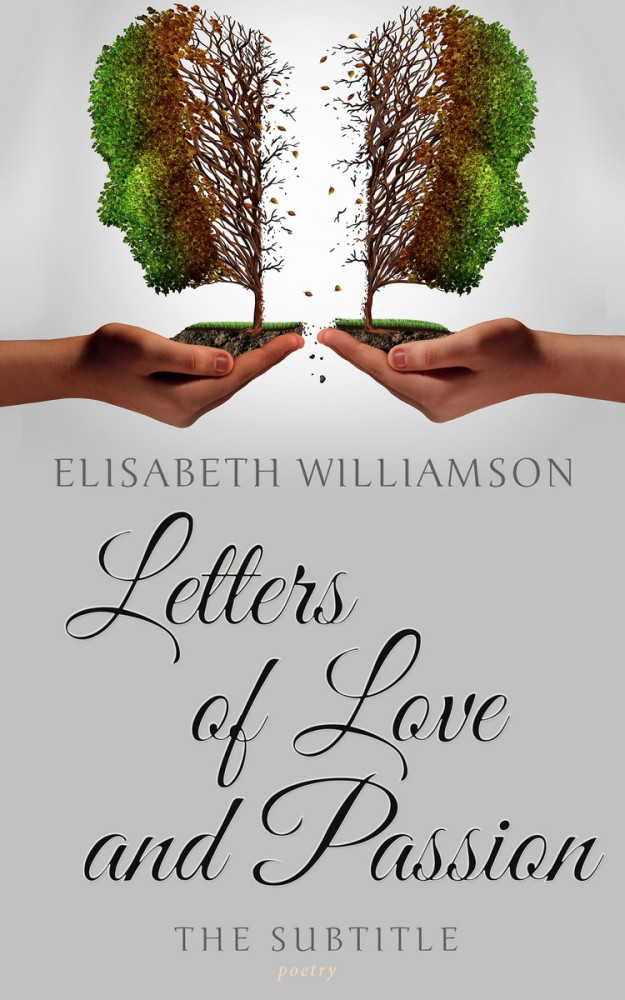 Front view of Cloud #605 - Premade Health & Mind & Body Book Cover