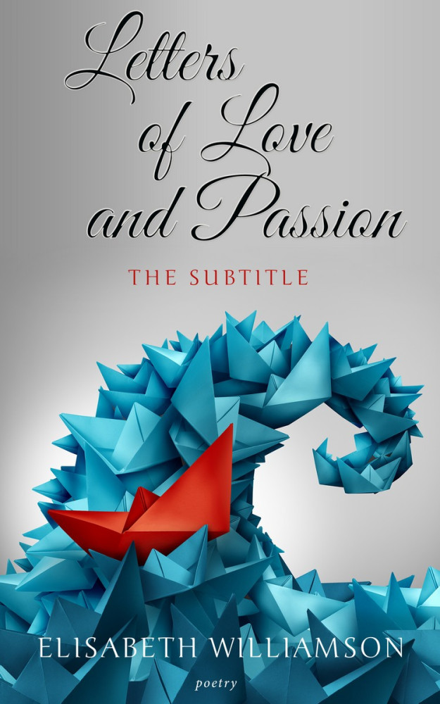 Front view of Silver #607 - Premade Business Book Cover