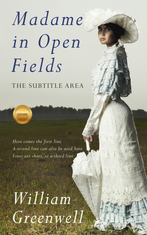 Front view of Mondo #1645 - Premade Romance Book Cover