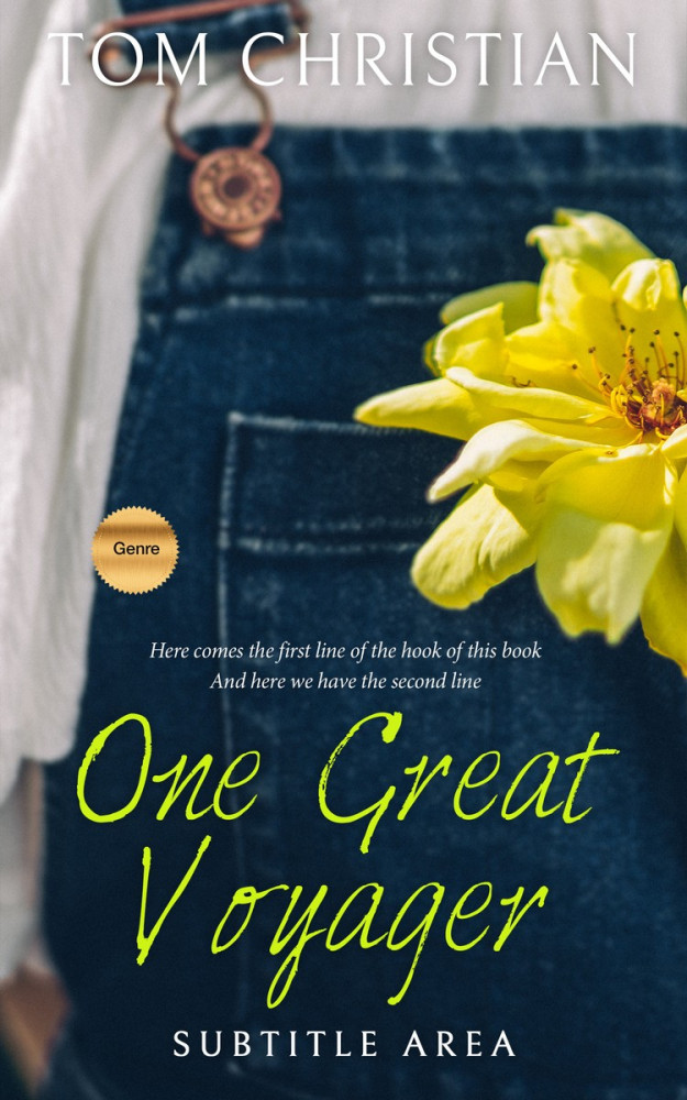 Front view of Big Stone #3018 - Premade Teen & Young Adult Book Cover