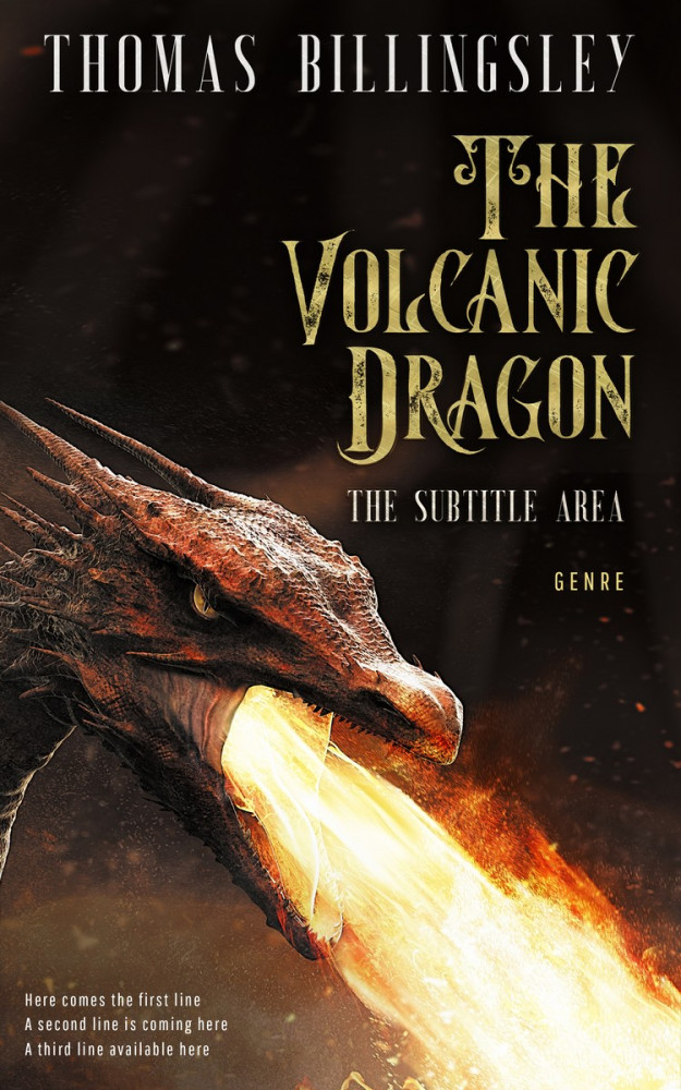 Front view of Calico #3853 - Premade Fantasy Book Cover